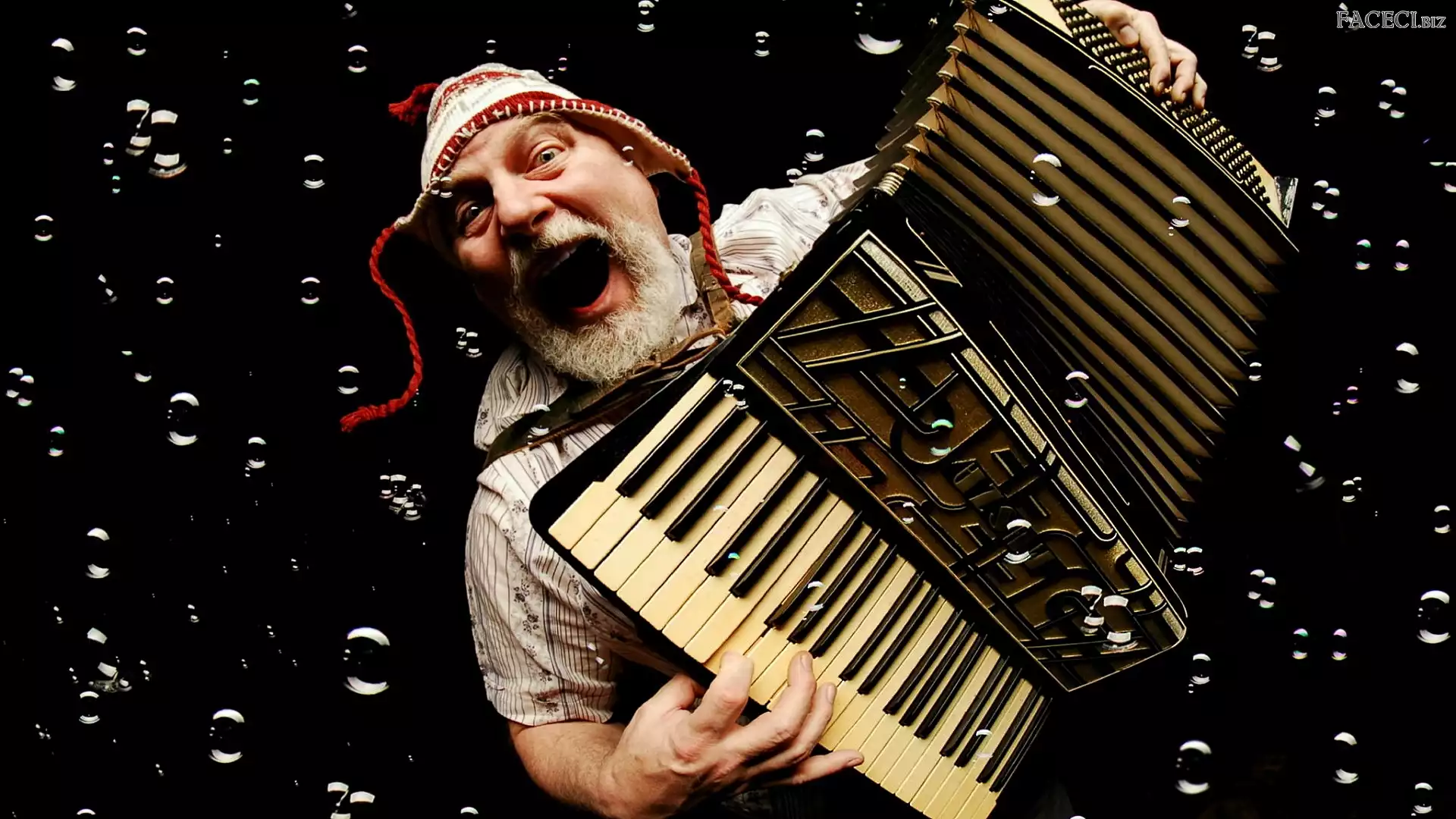 Akordeon, Mężczyzna, Tło, Czarne, Czapka, Bańki